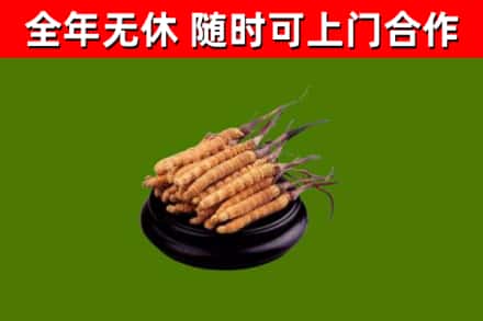 茶陵县烟酒回收冬虫夏草.jpg